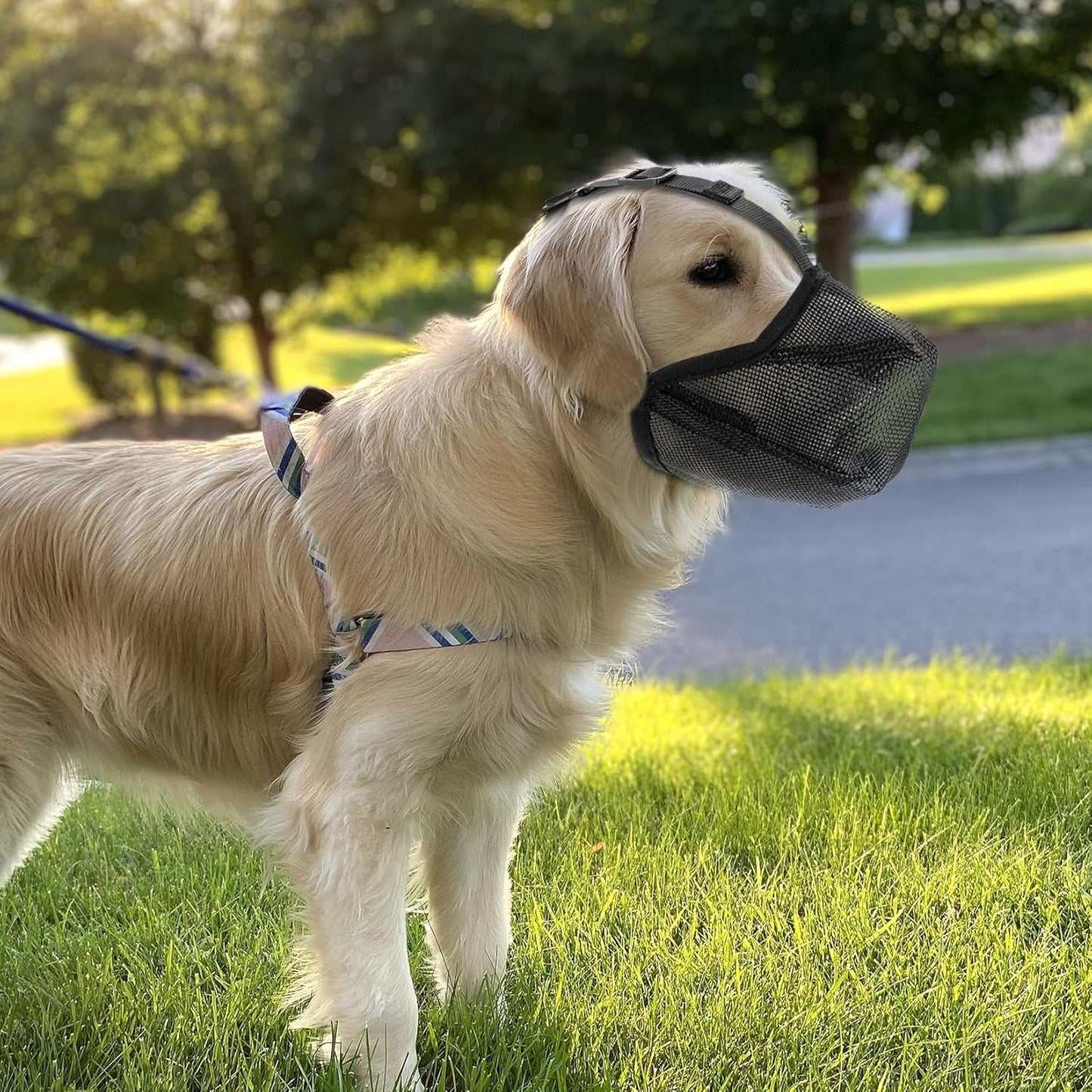Adjustable Breathable Pet Mask Dog Muzzle for Small Medium Large Dogs Training