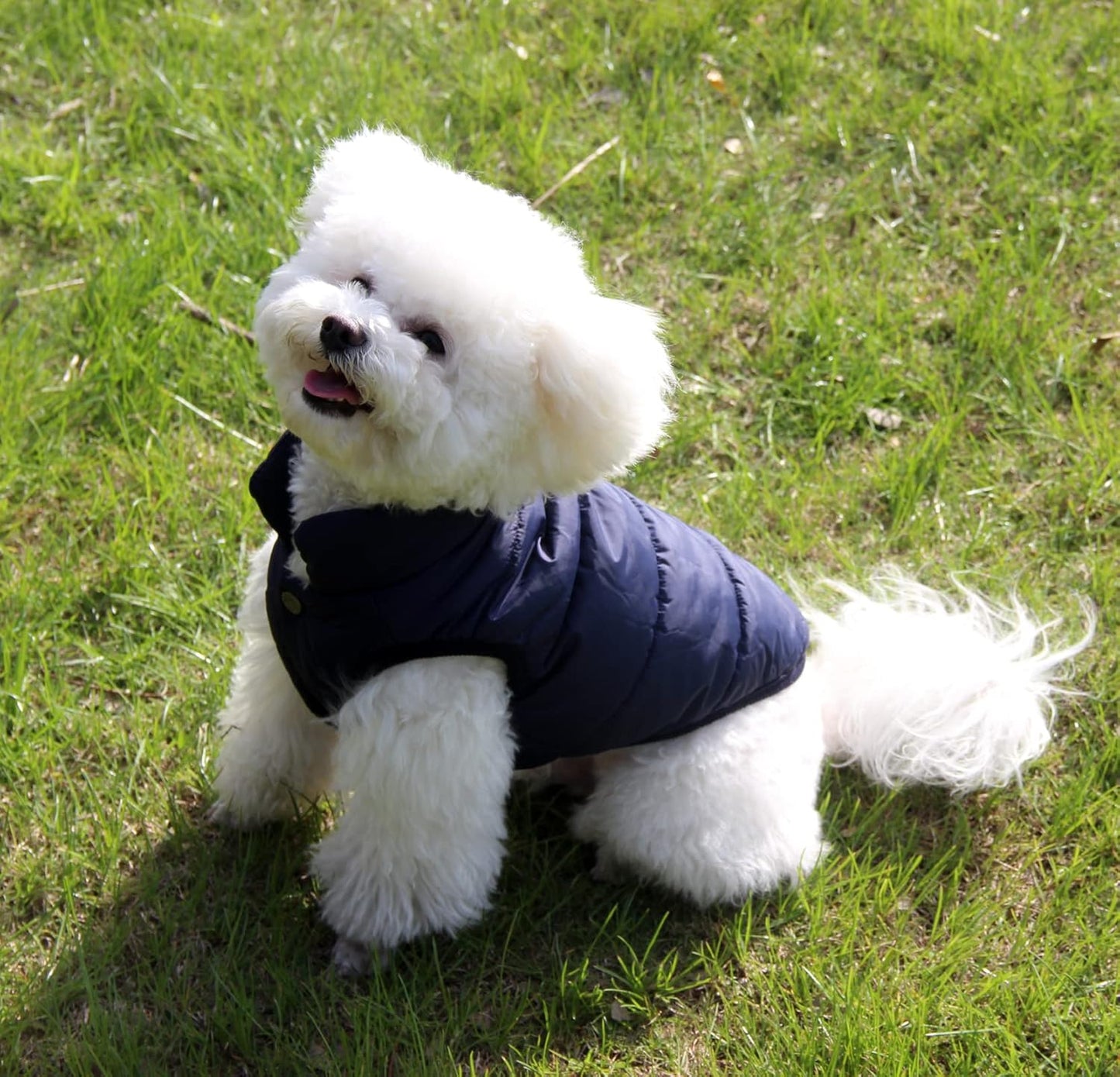 JoyDaog Fleece Lined Dog Jacket: Warm, Windproof Winter Vest