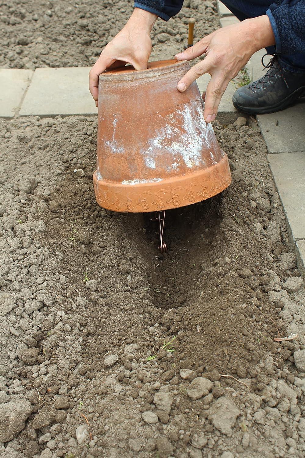 PROTECT HOME Vole Trap - Bavarian Impact Wire Trap - 2 Pack - Gomix Brands Outlet