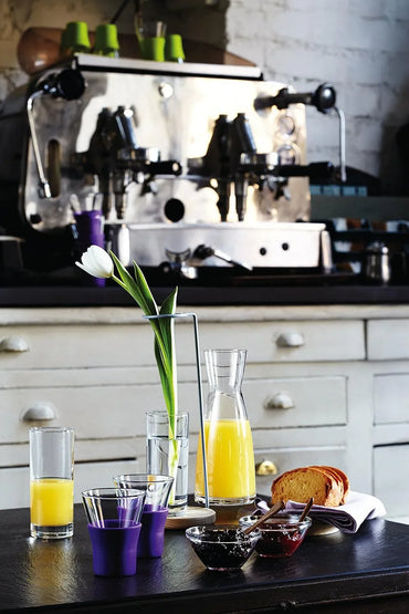 Bormioli Rocco Ypsilon 9.5 oz Clear Glass Carafe - Gomix Brands Outlet