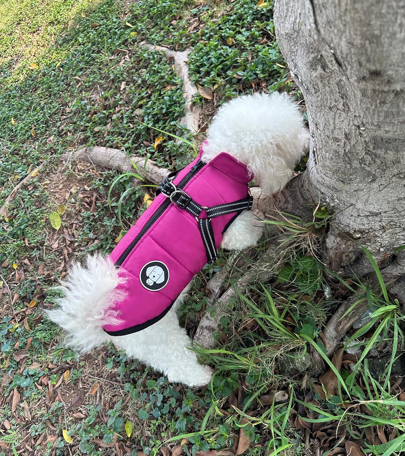 Dog Jacket with Harness, Waterproof Winter Coat for Small Breeds