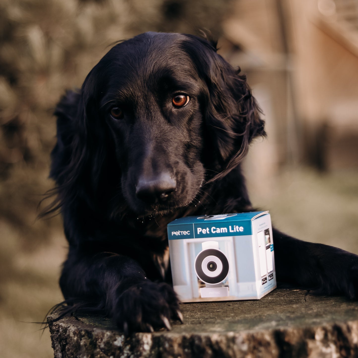 PetTec Cam Lite: Smart HD Pet Camera with Night Vision & 2-Way Audio