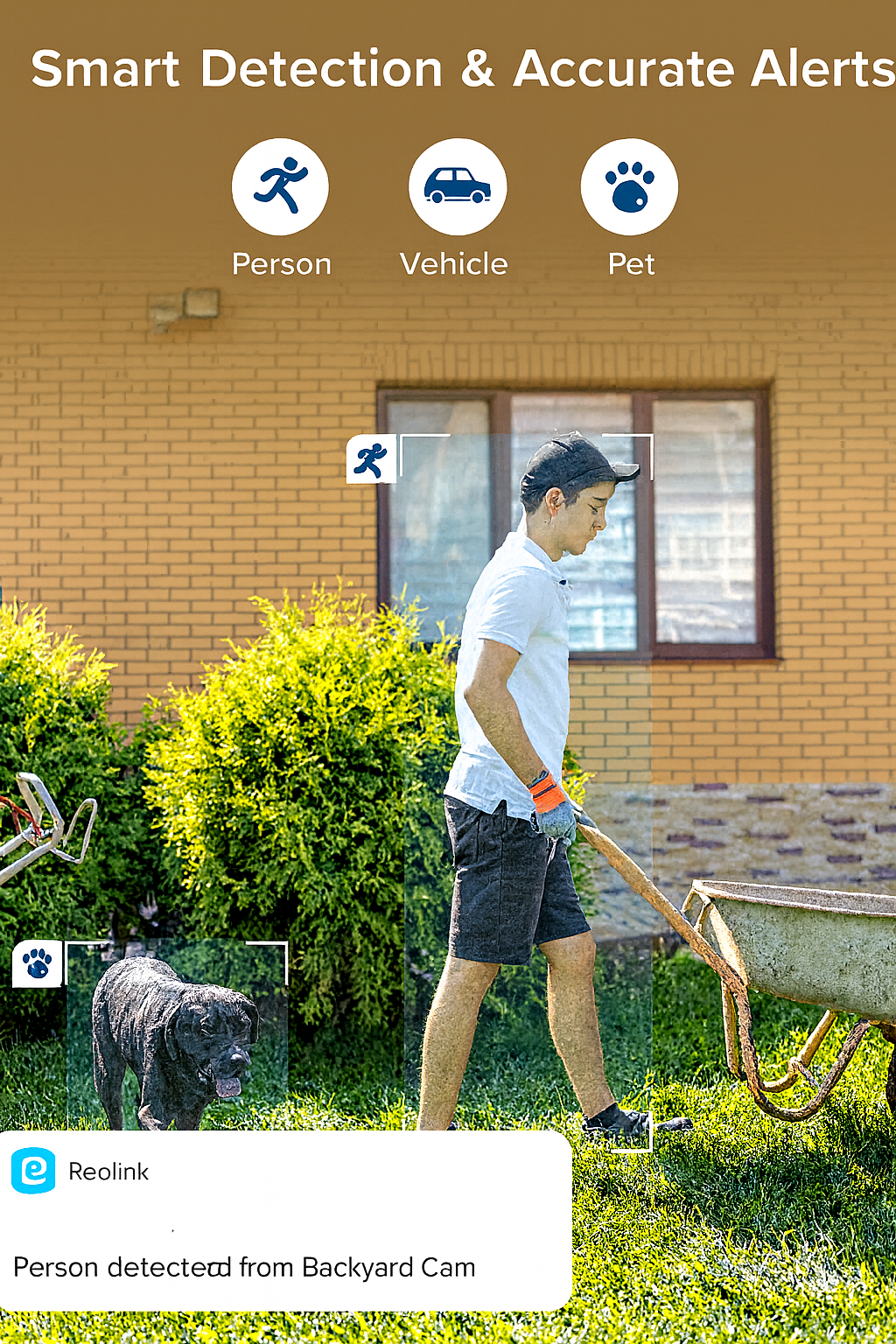 Person with a dog in a backyard, monitoring with smart home security system.