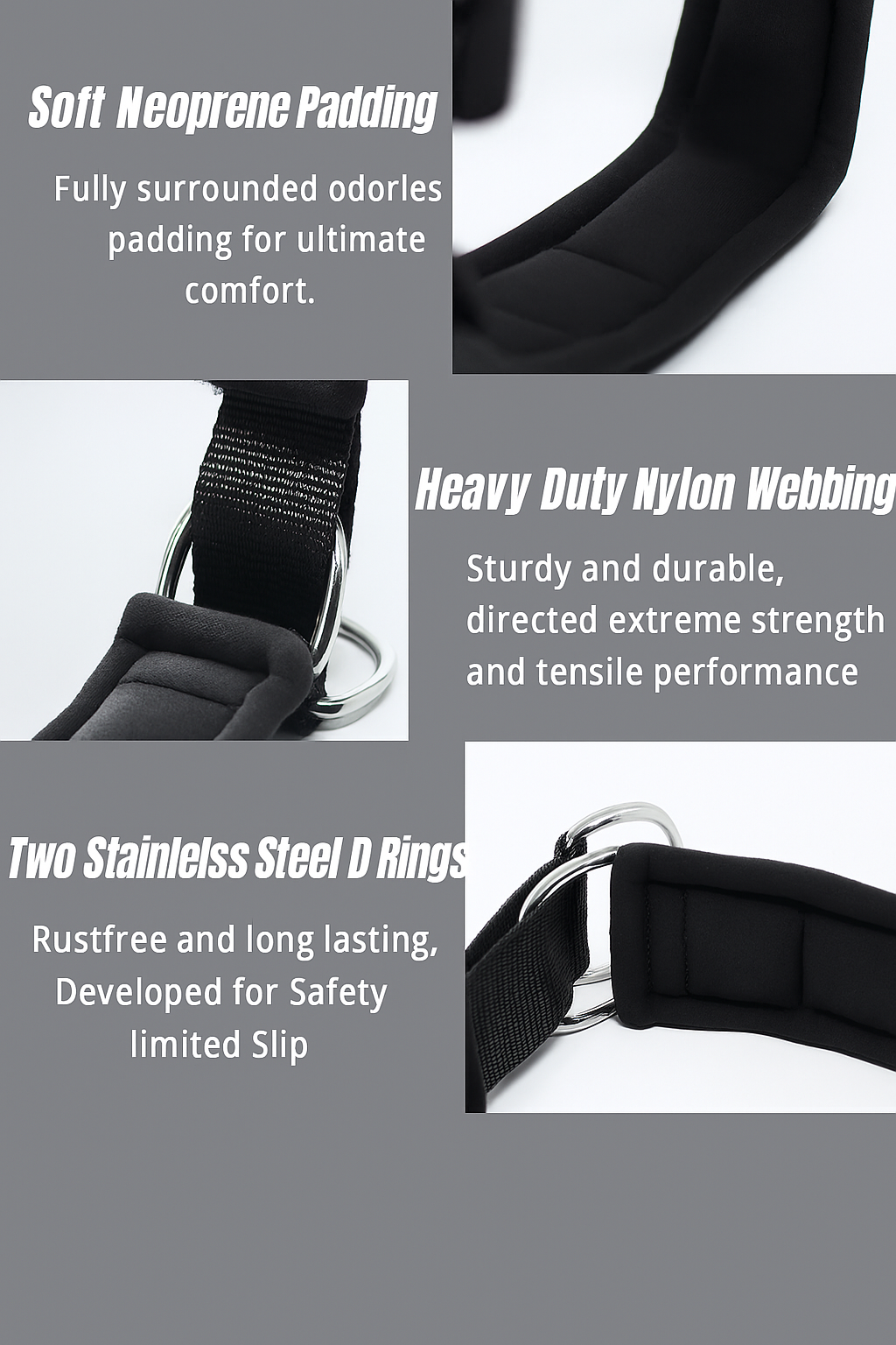 HeyDoggy! Soft Padded Reflective Dog Collar, Comfortable for Small to Large Dogs