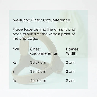 Muki & co Padded Dog Harness: Breathable, Comfortable, Secure, Ideal for Small Dogs - Gomix Brands Outlet