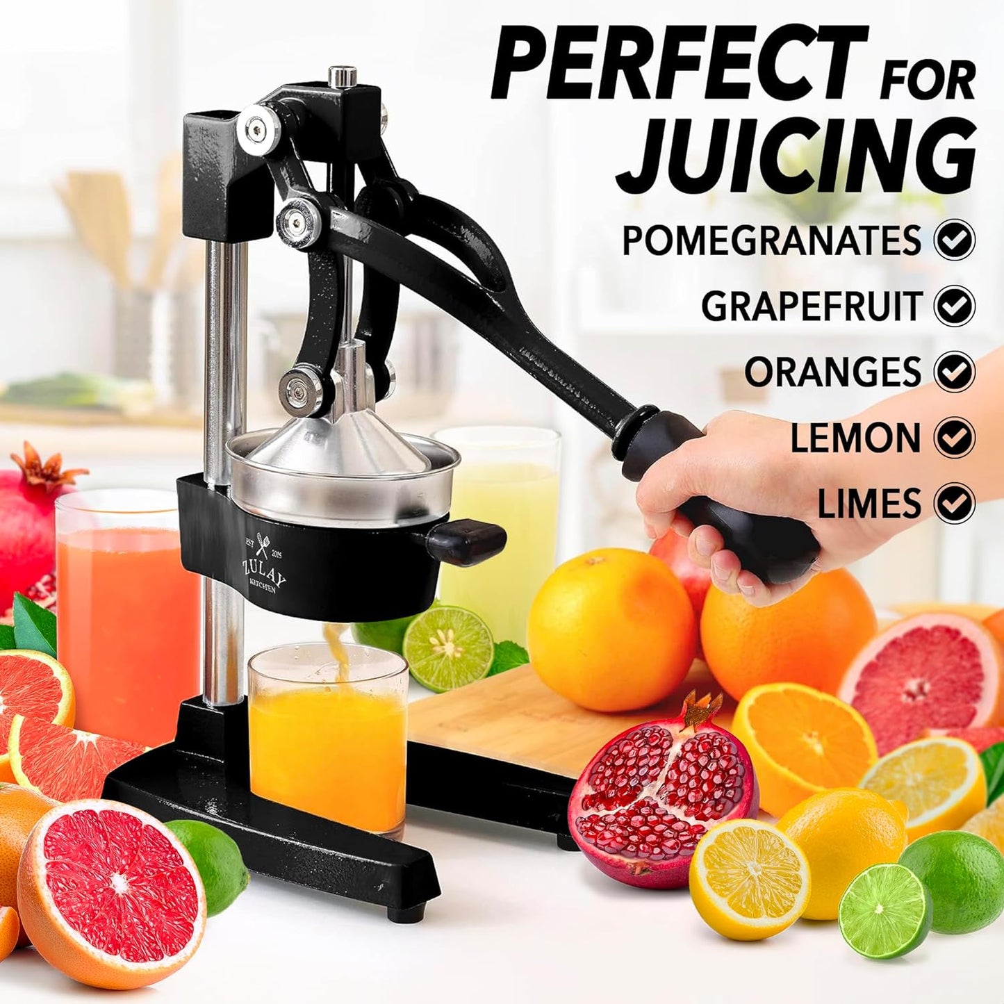 Heavy-Duty Cast Iron Manual Juice Press with Large Bowl
