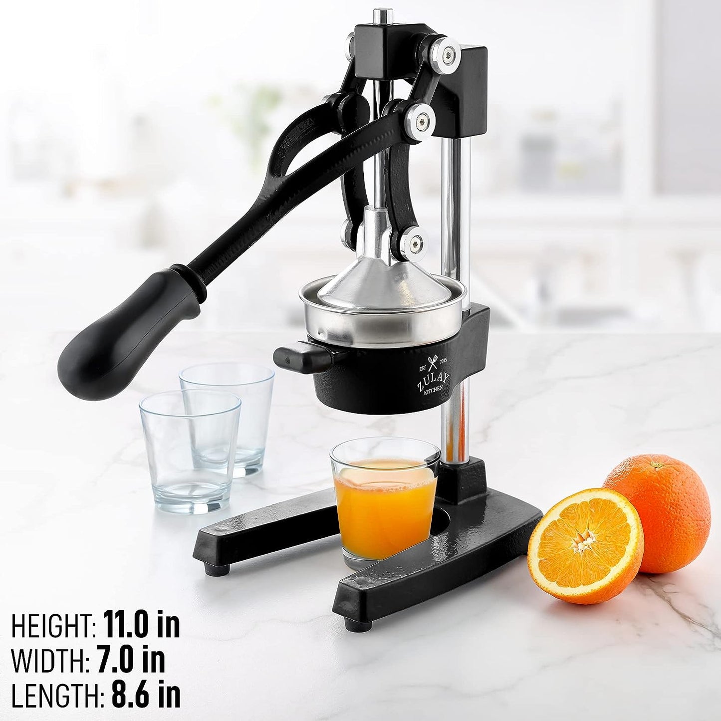 Heavy-Duty Cast Iron Manual Juice Press with Large Bowl