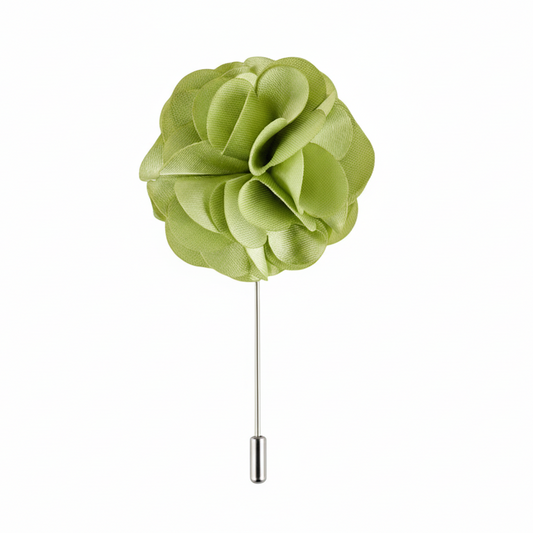 https://cdn.shopify.com/s/files/1/0599/9863/4165/files/LightGreenLapelPin.png?v=1722112623