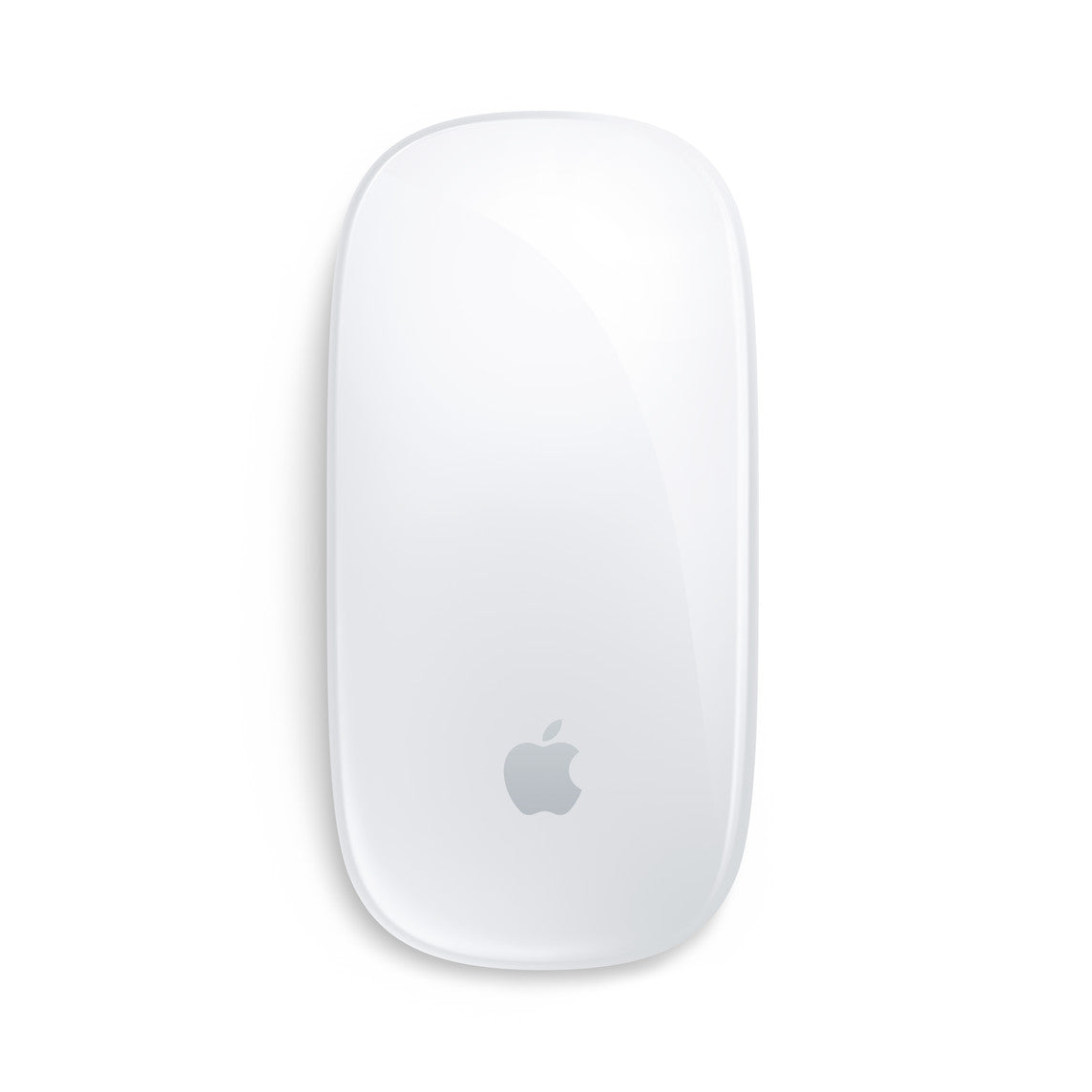 Apple Magic Mouse USB-C White Multi-Touch Surface Wireless Rechargeable for Mac iPad
