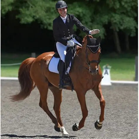 Tubbease Hoof Sock for Horses: Ultimate Protection & Comfort for Equine Hooves