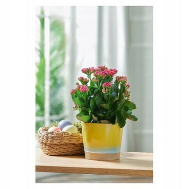 Livarno Home Ceramic Plant Pot Cover Yellow 13 x 11 cm