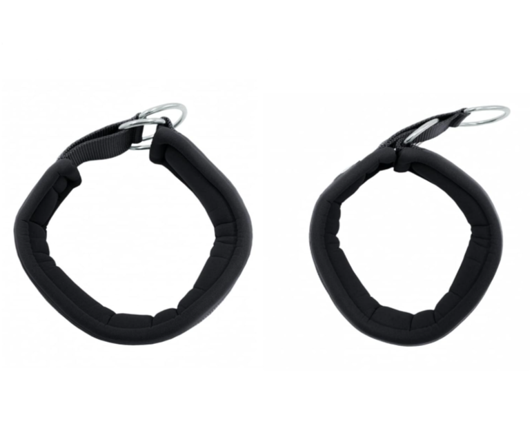 HeyDoggy! Soft Padded Reflective Dog Collar, Comfortable for Small to Large Dogs