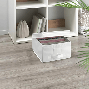 https://cdn.shopify.com/s/files/1/0783/4651/8838/files/Untitled_design_22_0f6b91f3-9d3a-4fd6-96ab-2d6aca8e15de.png?v=1749791883