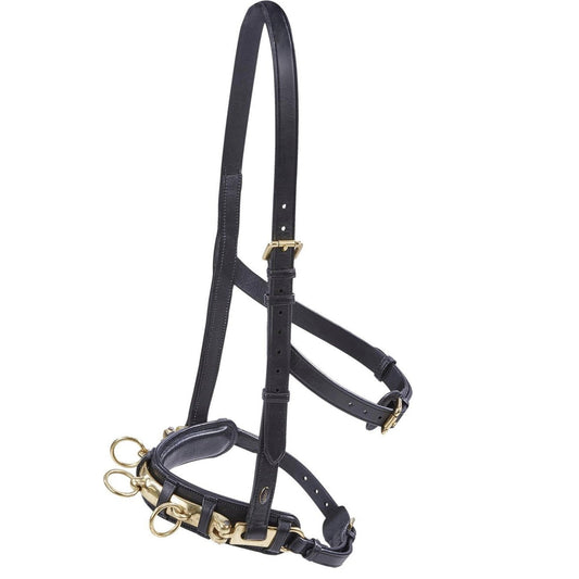 BUSSE Professional Adjustable Leather Cavesson Bridle for Lunging & Training