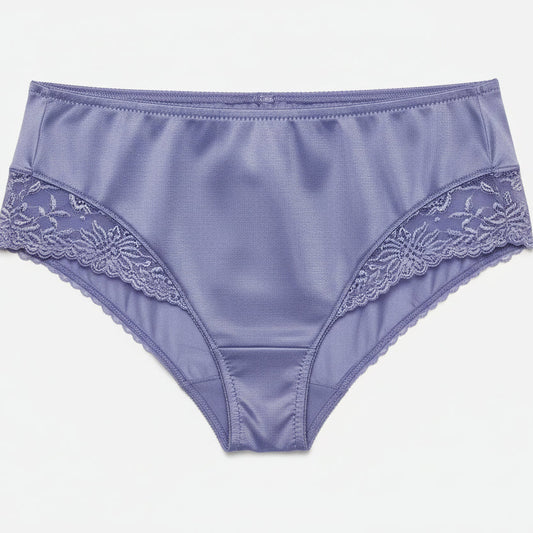 Triumph Ladyform Soft High-Rise Light Blue Briefs - Elegant Sheer Comfort Underwear - Gomix Brands Outlet