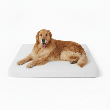 LE SURE Dog Bed Memory Foam Orthopedic Crate Mattress