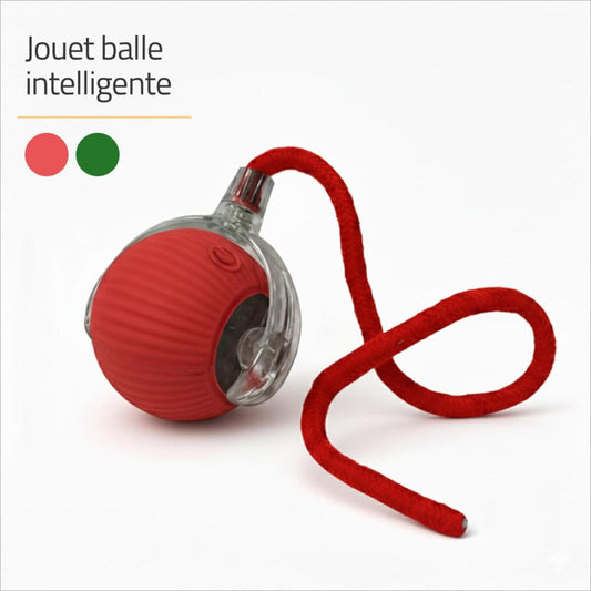 https://amazonia.tn/90121-large_default/jouet-chat-balle-smart-interactive-5cm.jpg