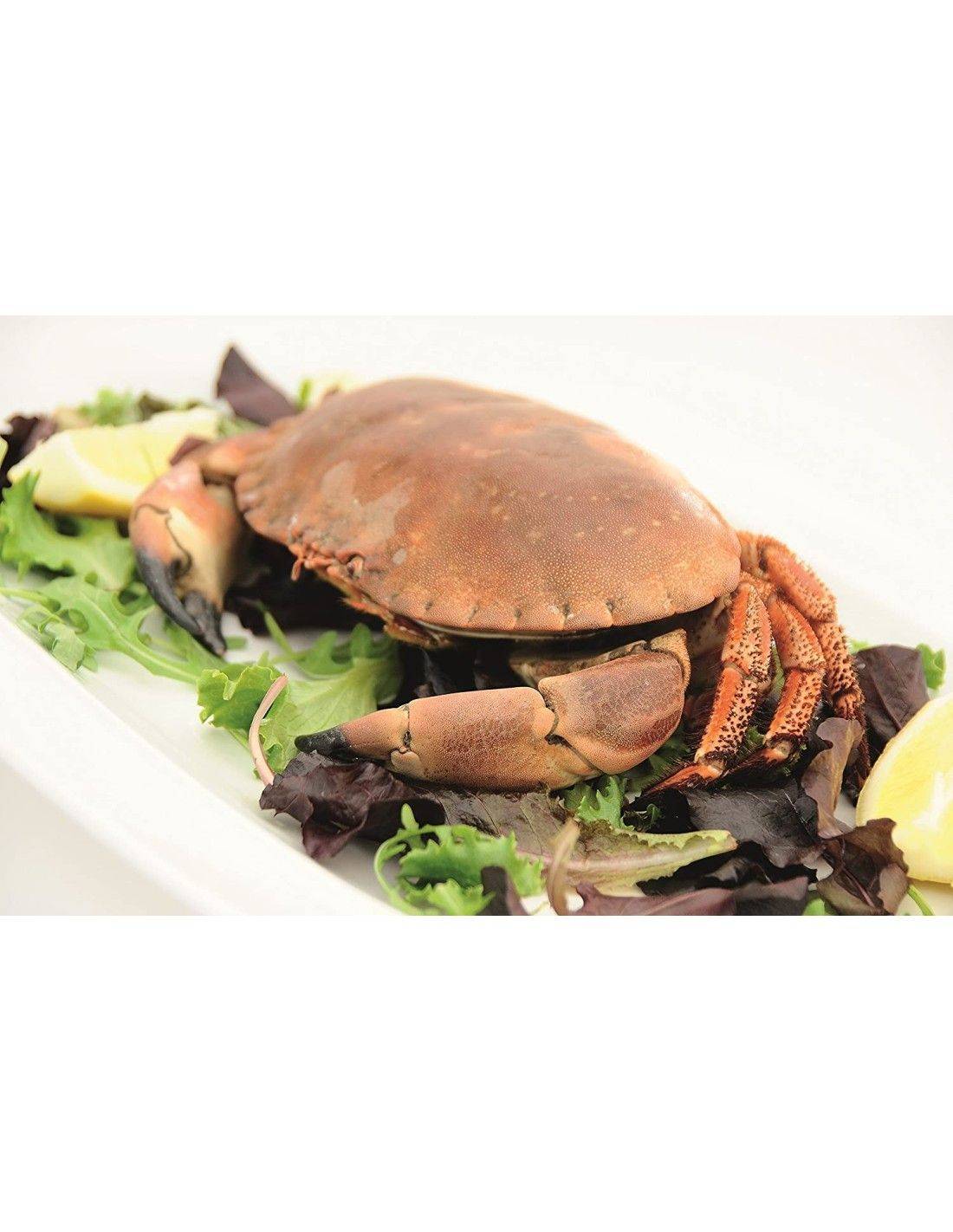 Kitchen Craft Stainless Steel Seafood Dining Set with Crackers & Forks