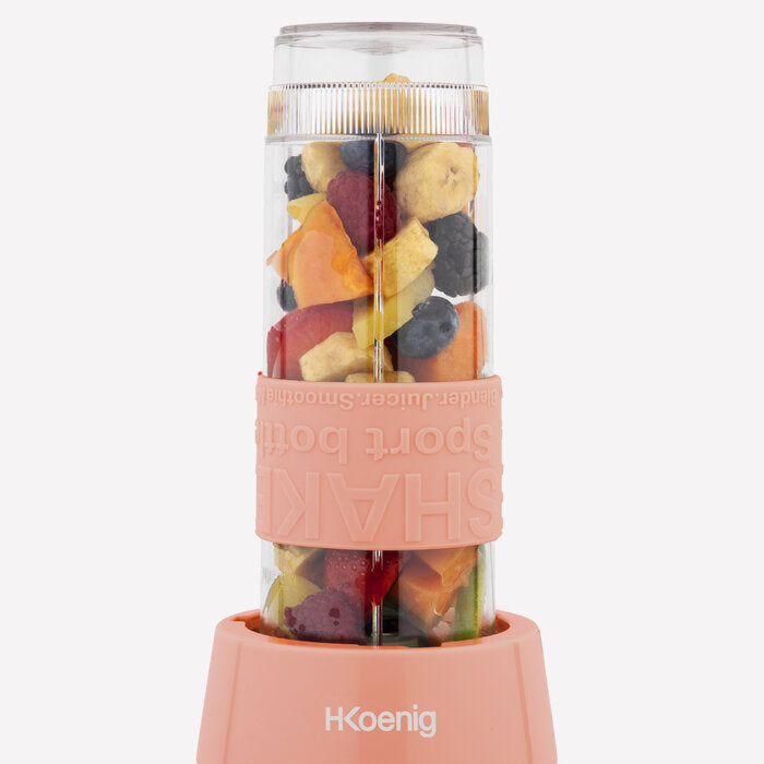 Portable Personal Smoothie Blender, 300W, Stainless Steel, Two 19oz Bottles
