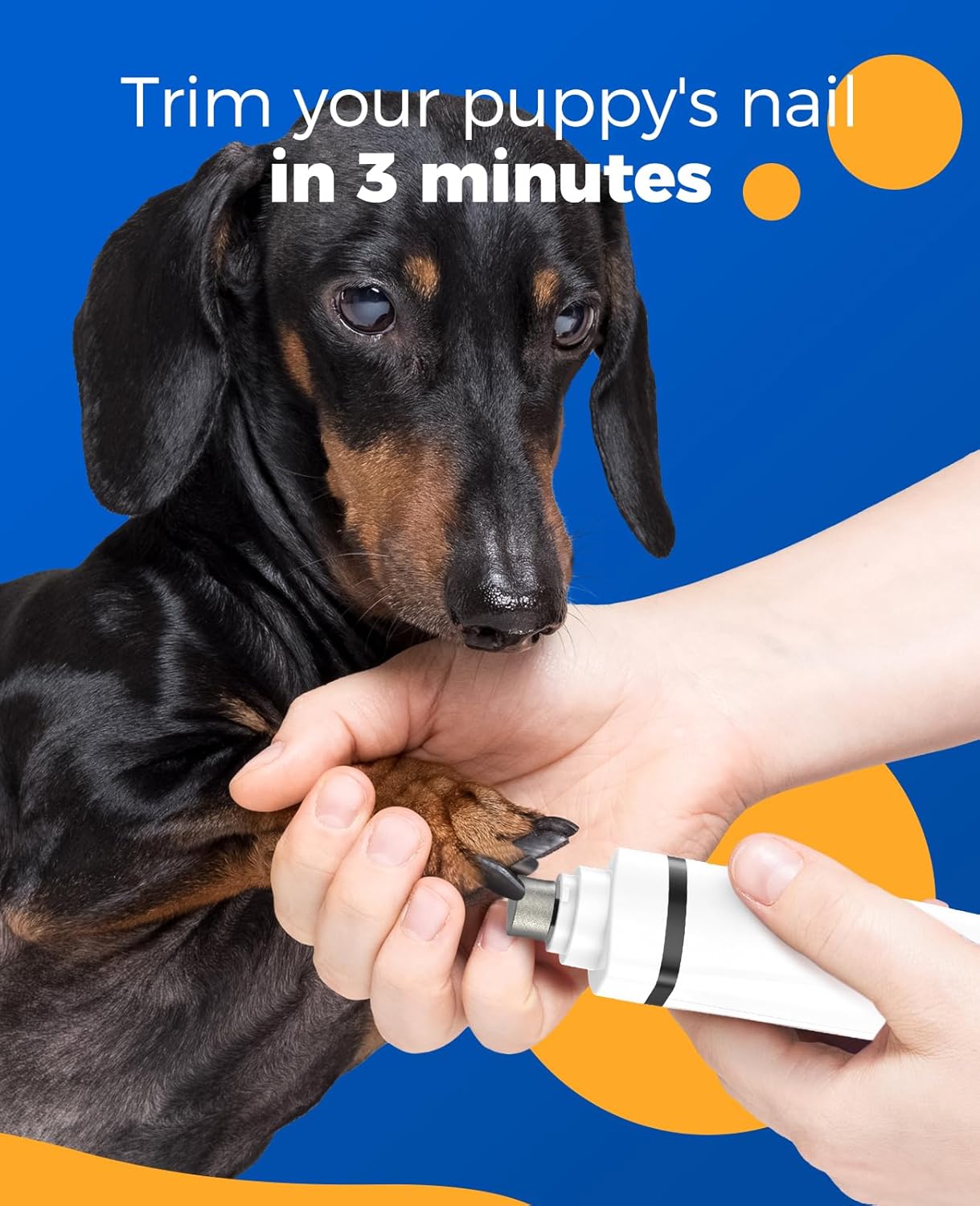 Oneisall N12 4-in-1 Pet Grooming Kit: Quiet, Cordless, Rechargeable Trimmer & Nail Grinder
