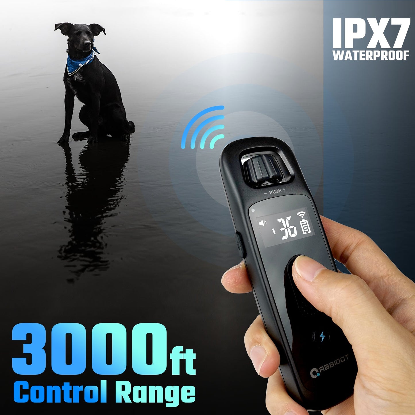 T30 Dog Training Collar with Remote | Safe & Effective
