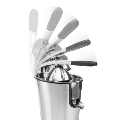 Princess Master Juicer Pro 300W Stainless Steel