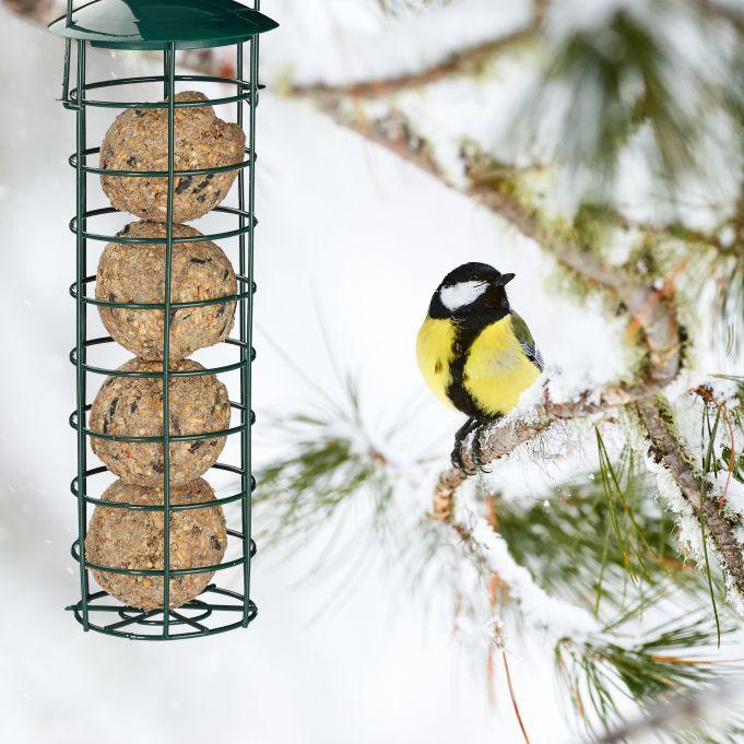 Relaxdays Durable Hanging Fat Ball Bird Feeder for Wild Birds - Easy Refill - Gomix Brands Outlet