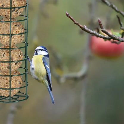 Relaxdays Durable Hanging Fat Ball Bird Feeder for Wild Birds - Easy Refill - Gomix Brands Outlet