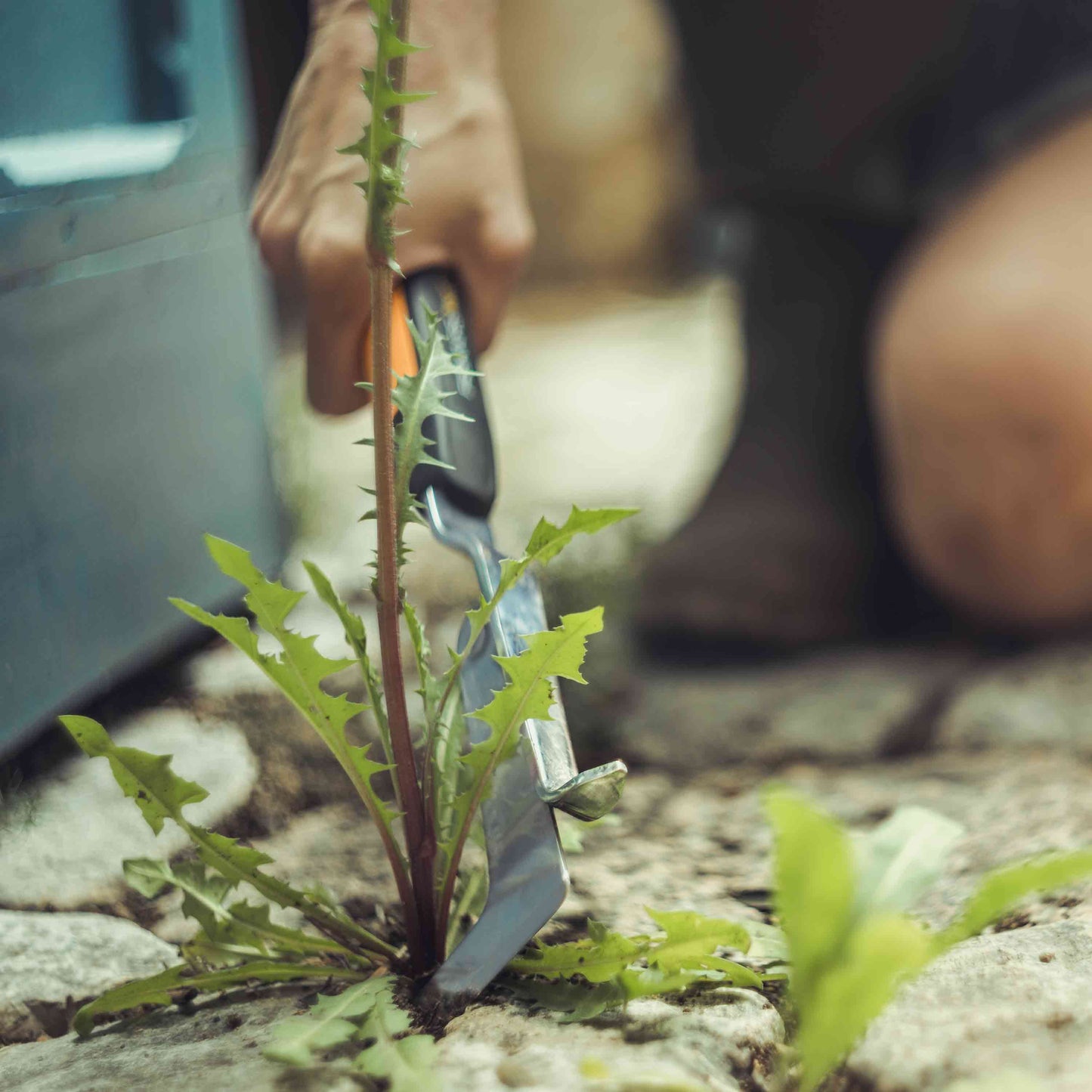 Fiskars Xact Weeding Knife: Dual-Blade Stainless Steel Garden Tool