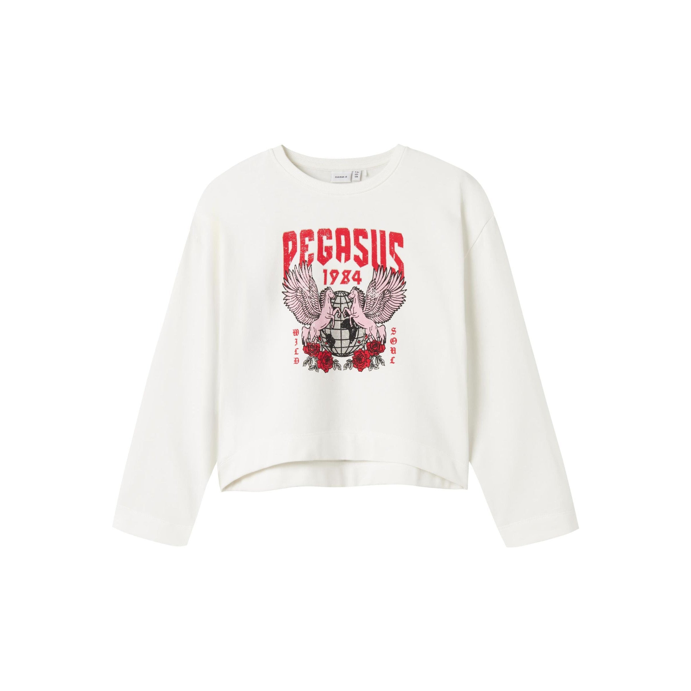 Girls' Soft Brushed Relaxed Fit Graphic Sweatshirt - Cotton Blend Pullover