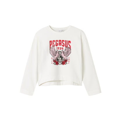 Girls' Soft Brushed Relaxed Fit Graphic Sweatshirt - Cotton Blend Pullover