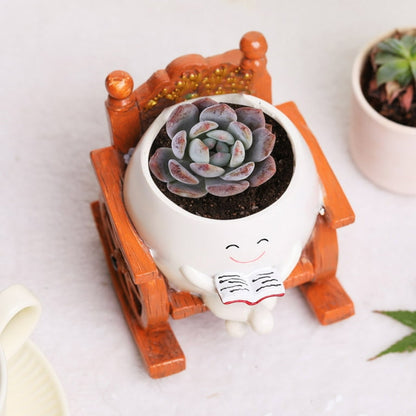 Face Flower Pot – Unique Resin Rocking Chair Planter for Indoor & Outdoor Succulents