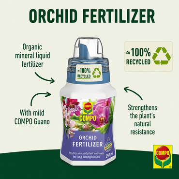 Compo Orchid Fertiliser 250ml Liquid Plant Food