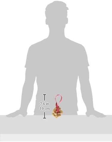 Percussion Plus PP625 Handcrafted Seed Shaker – Rustic Amazon Rhythm