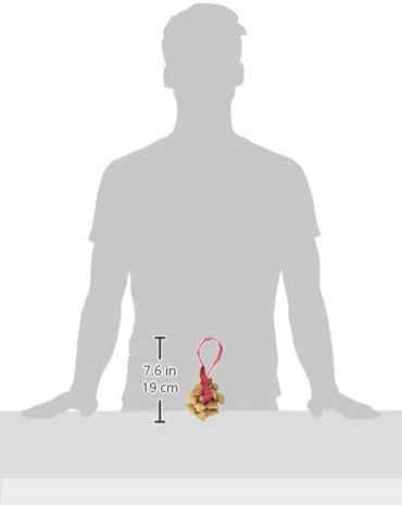 Percussion Plus PP625 Handcrafted Seed Shaker – Rustic Amazon Rhythm