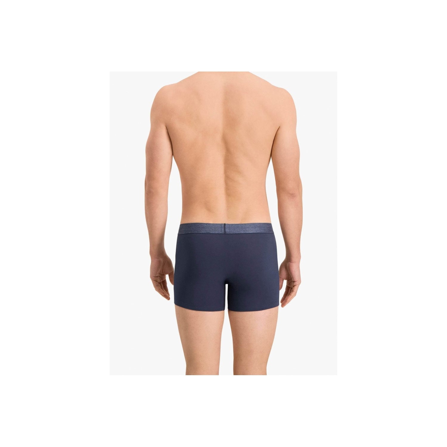 Men's Levi's Blue Cotton Boxer Briefs 2-Pack - Comfortable, Durable Fit