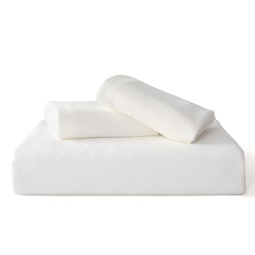 https://m.media-amazon.com/images/I/31GATpeP24L.jpg