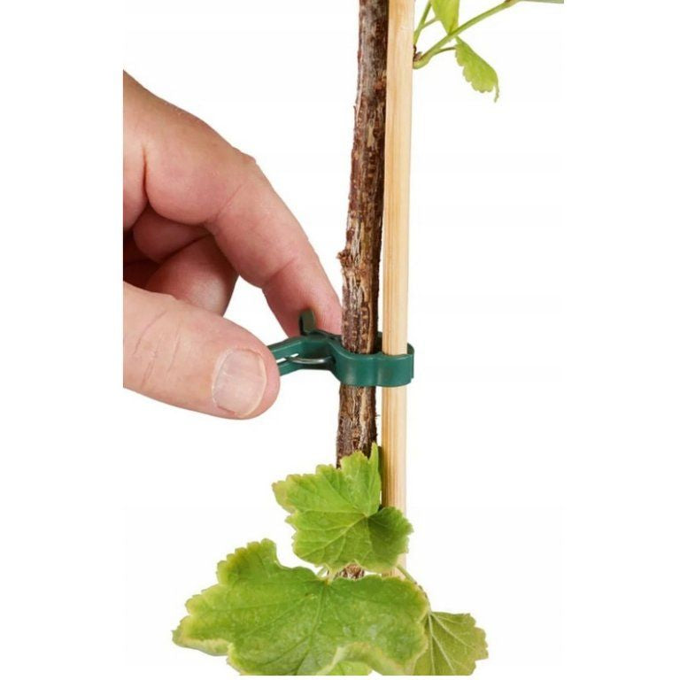 https://cdn.myshoptet.com/usr/www.taktrochujineelektro.cz/user/shop/big/32583-1_parkside-klipsy-na-rostliny--1.png?6996e1e0