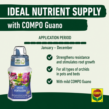 Compo Orchid Fertiliser 250ml Liquid Plant Food