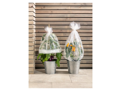 PARKSIDE Strauch Folienhaube 5-Pack UV-Stable Polyethylene for Shrubs