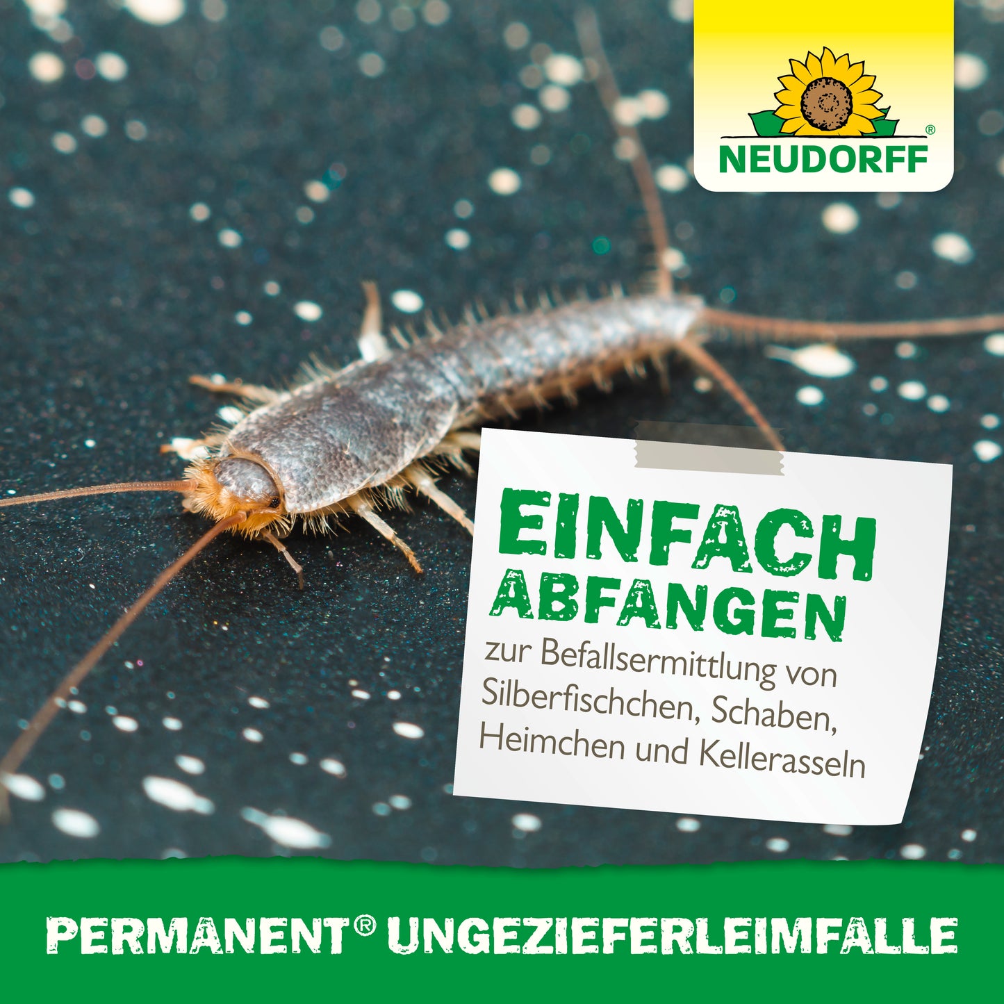 Neudorff Permanent Non-Toxic Insect Glue Trap for Silverfish, Cockroaches, Crickets, Woodlice