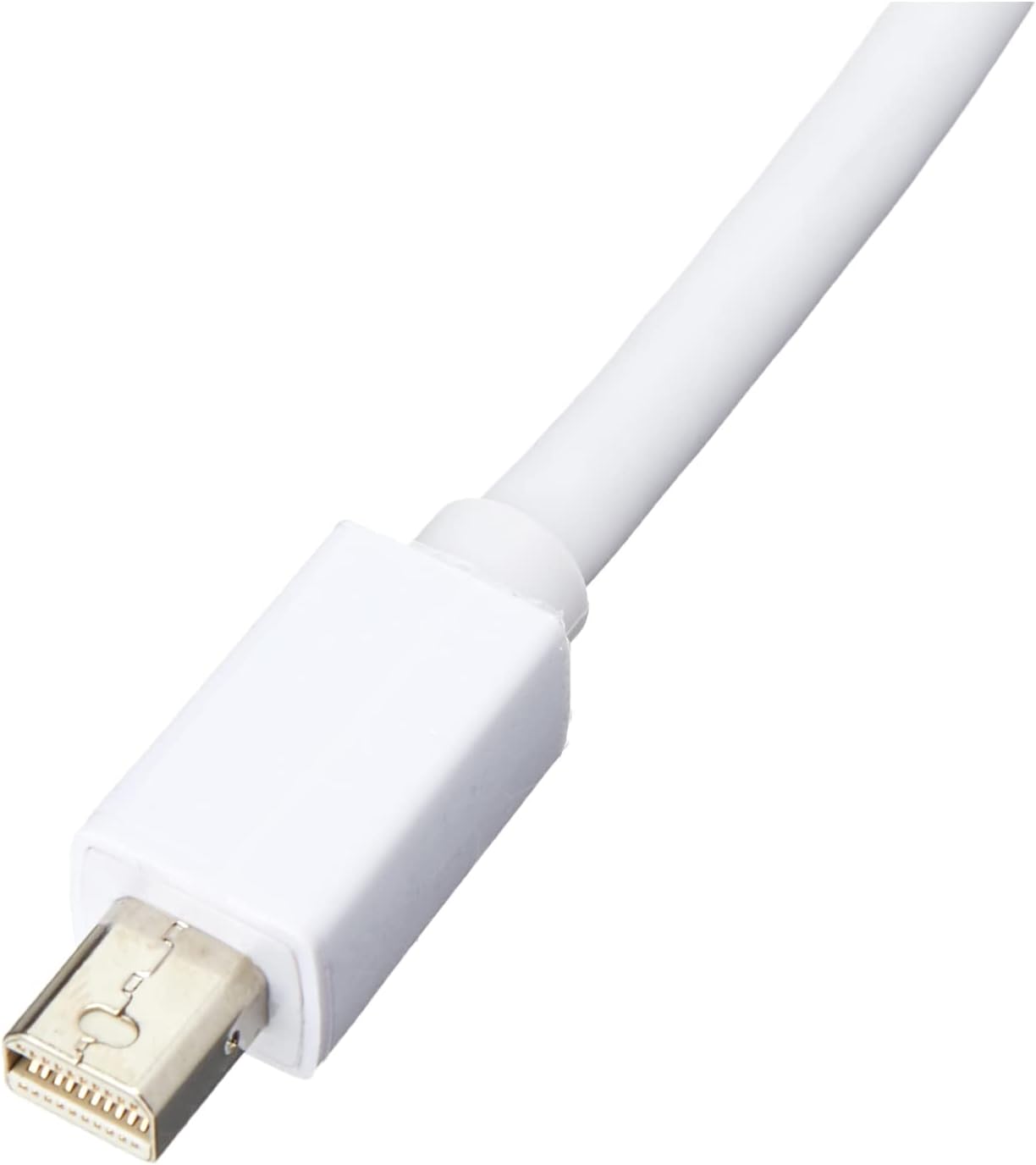 https://m.media-amazon.com/images/I/4198ZZmSLPL._AC_SL1401_.jpg