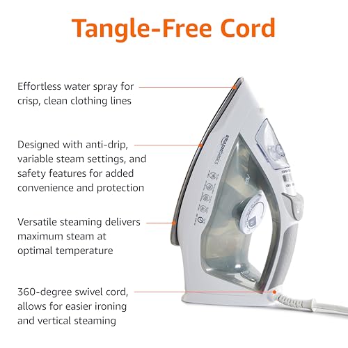 Amazon Basics 1700-Watt Steam Iron with Safety Auto Shut-Off, Steel Soleplate