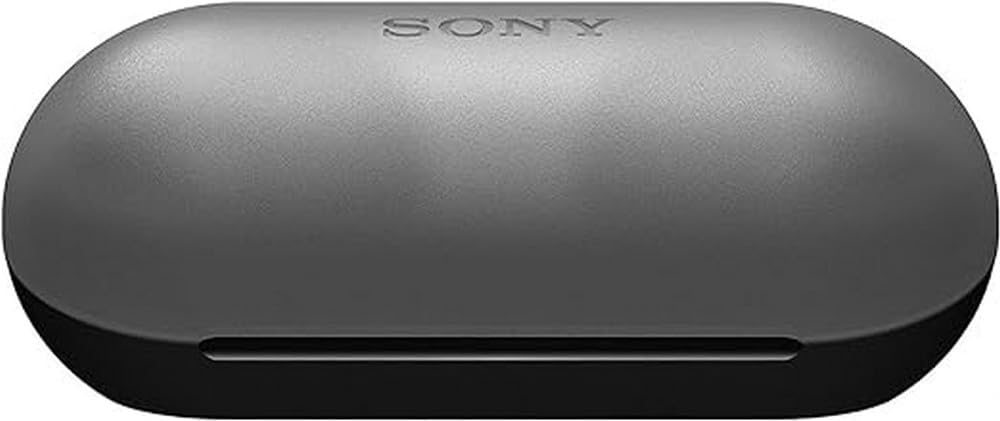 Sony WF-C500 True Wireless In-Ear Headphones WFC500B/BZ