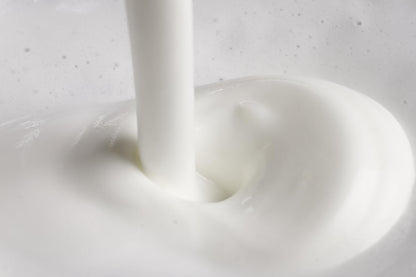 Philips Senseo Milk Frother