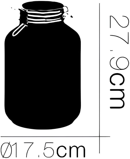 Bormioli Rocco Fido Airtight Glass Storage Vase