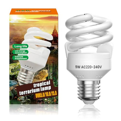 https://m.media-amazon.com/images/I/41pmrUricaL.jpg