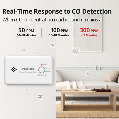 Wisualarm Carbon Monoxide Detector