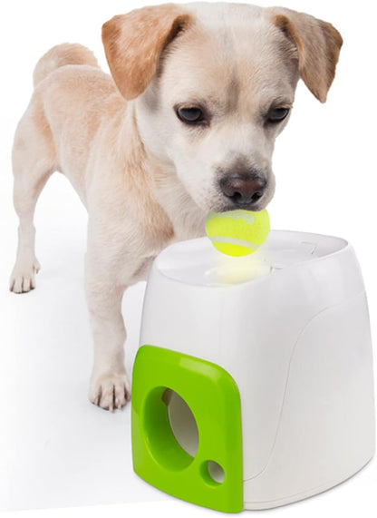 ALL FOR PAWS Interactive Fetch N Treat Dog Toy