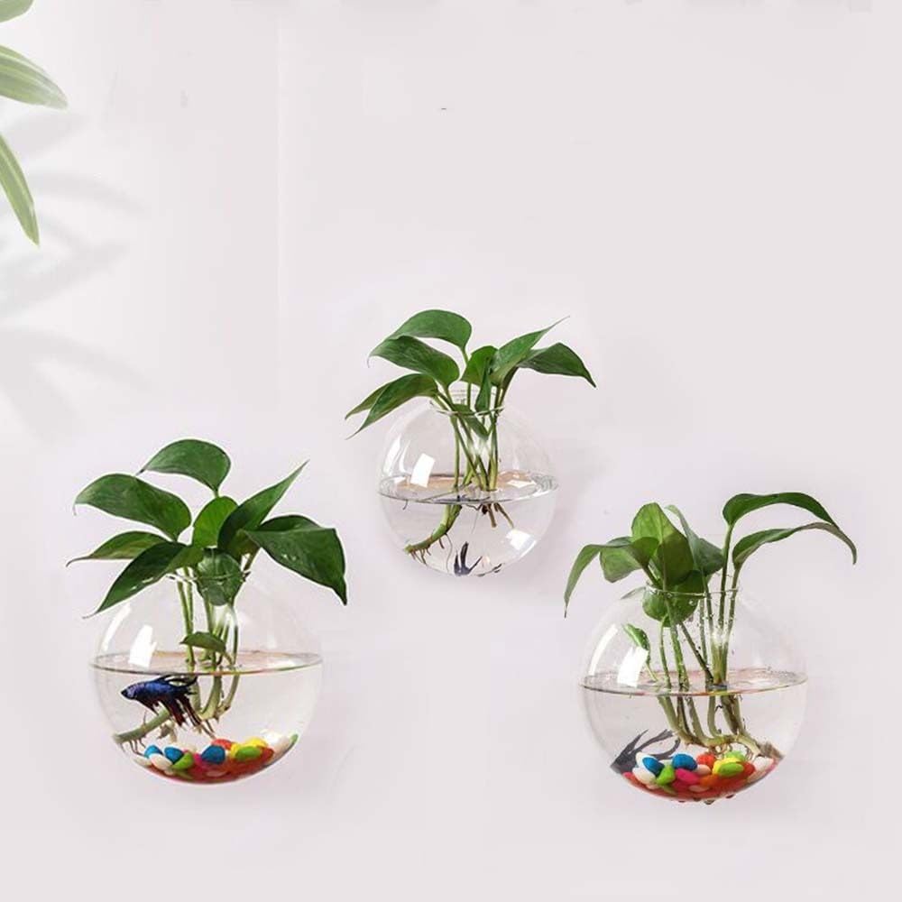 Glass Wall Hanging Planter Terrarium Semi-Circular Vase 13cm for Air Plants